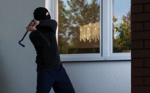 Denver Smash and Grab Burglary